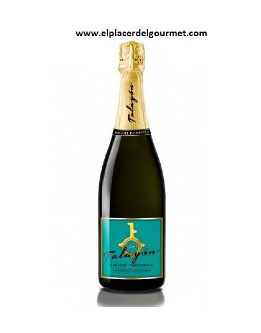 Sparkling white wine brut talayon Miguel Domecq