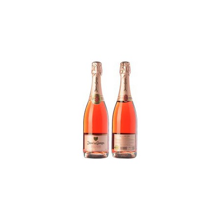 Cava vin mousseux JUVE CAMPS BRUT Rosado 75 cl.