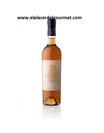 VIN JEREZ AMONTILLADO ANTIQUE 50 CL. FERNANDO DE CASTILLA