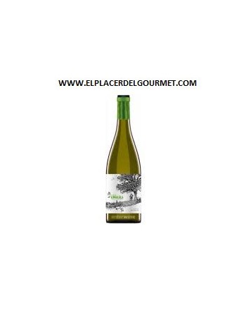 VIN BLANC VIGNE Barredero / HUELVA Zalema 75 CL.