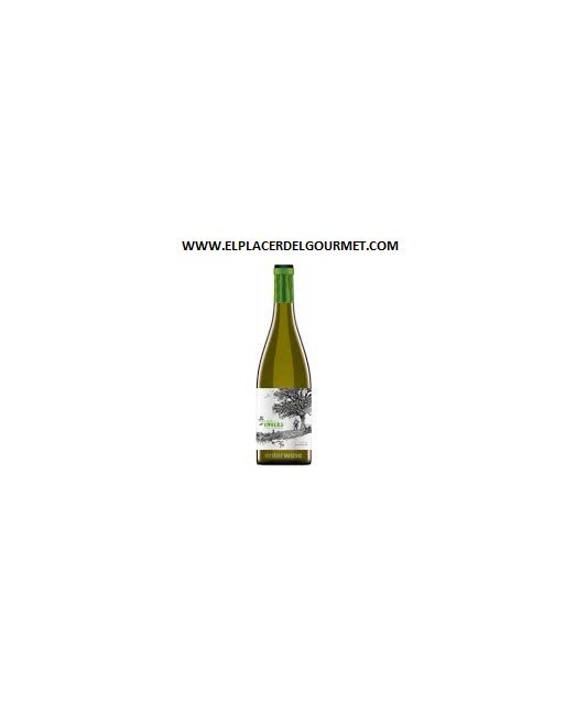 WHITE WINE VIÑA BARREDERO / HUELVA ZALEMA 75 CL.