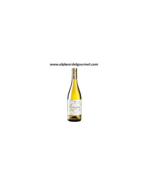 VIN BLANC FERME Valiñas 75 CL