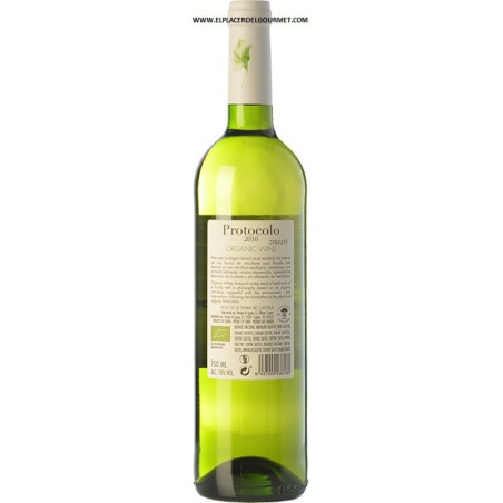 PROTOCOLE DE VIN BLANC DOM. DE EGUREN / CASTILLA AIREN / Macabeo 75 CL.