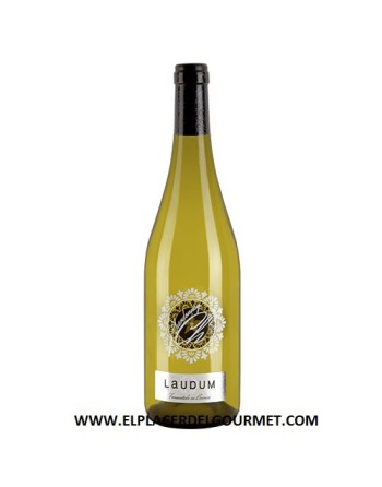 WINE WHITE PROTOCOL "DOM. OF EGUREN" / CASTILLA AIREN / MACABEO 75 CL.