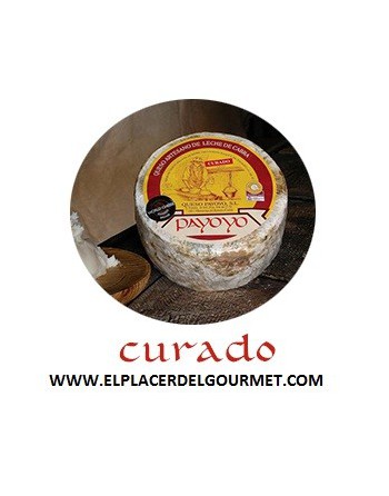 Cheese of sheep semitreated Payoyo 2.2 kg.