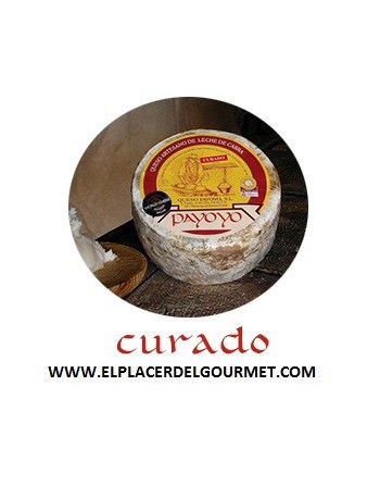 Un fromage de brebis Payoyo semiendurci 2.2 kg