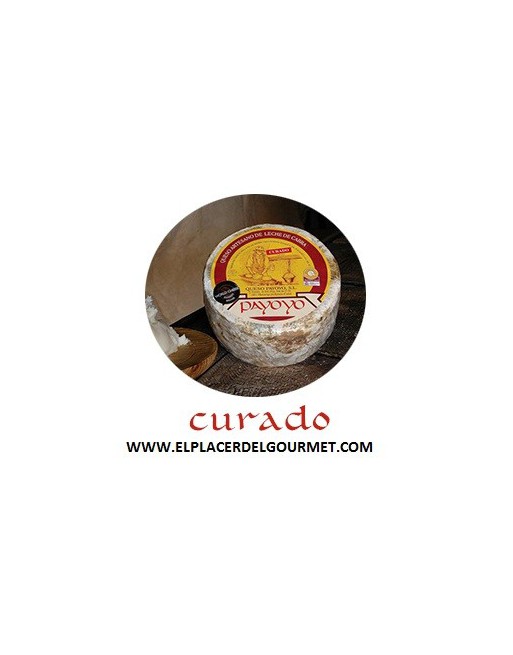 Käse des Schafs behandelte Payoyo halb 2.2 kg