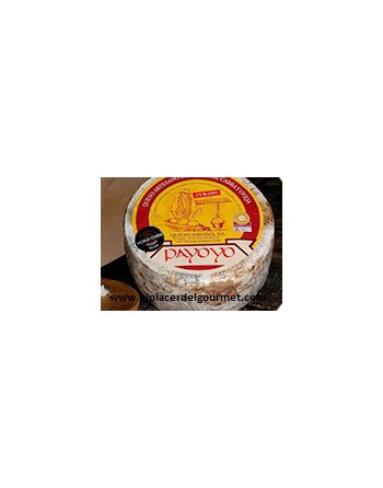 Payoyo cheese cured goat wrapped wheat bran 2 k.