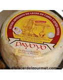 Payoyo cheese cured sheep goat mixture to rosemary 2 k.