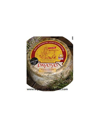 Payoyo cheese cured sheep goat mixture in butter 2 k.