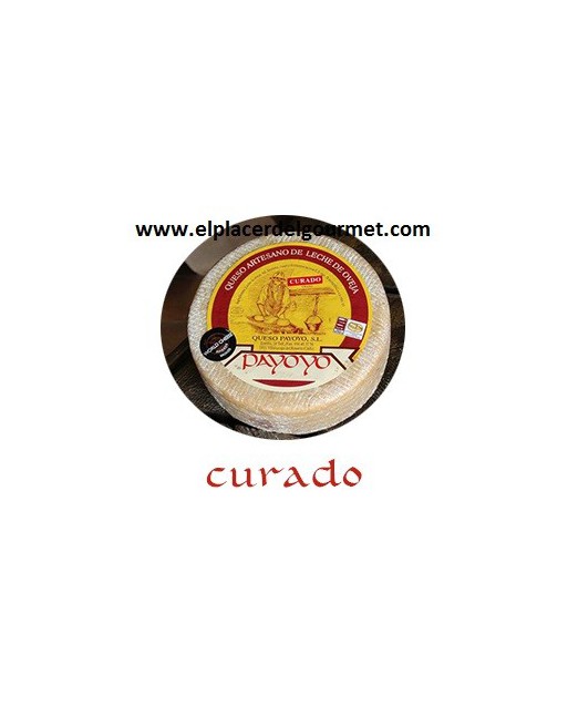 Payoyo cheese cured sheep 2k. Payoyo cheese cured sheep 2k.