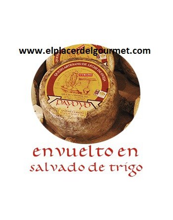 Payoyo gehärteten sheep Käse in Iberian Schweineschmalz 2k gewickelt.