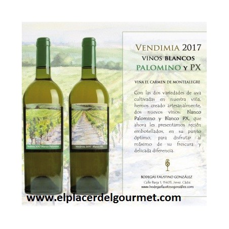 VINO JEREZ BLANCO PEDRO XIMENEZ BODEGAS FAUSTINO GONZALEZ 75 CL