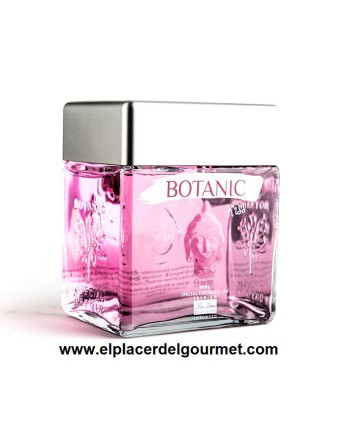 Botanic Kiss fresa Gin botella 70
