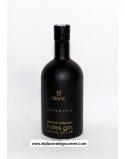1880 GIN RIVES BOT. 70 CL.