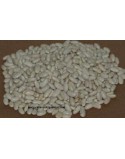 Paquet de 500g blanc de haricots Curto