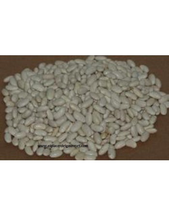 Paquet de 500g blanc de haricots Curto