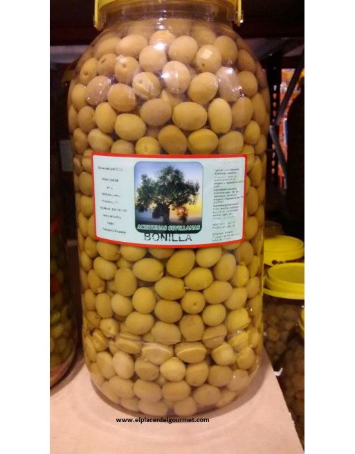 Bonilla Oliven verdial Kanister 5 Kilo. Kaufen Sie 5 Einheiten mit 10% Rabatt